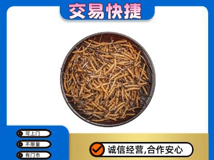 扬州高价回收散虫草
